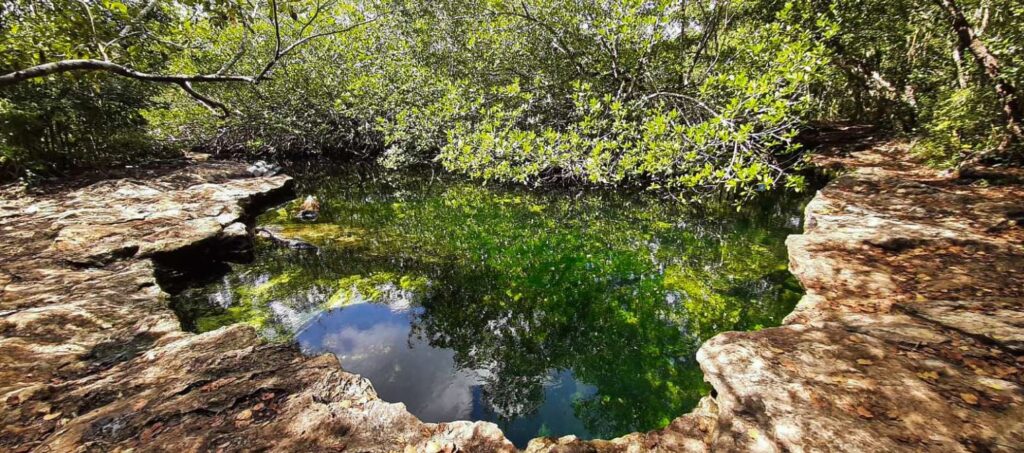 cenotes expedition cozumel