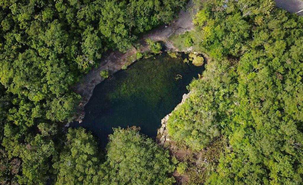 cenotes expedition cozumel