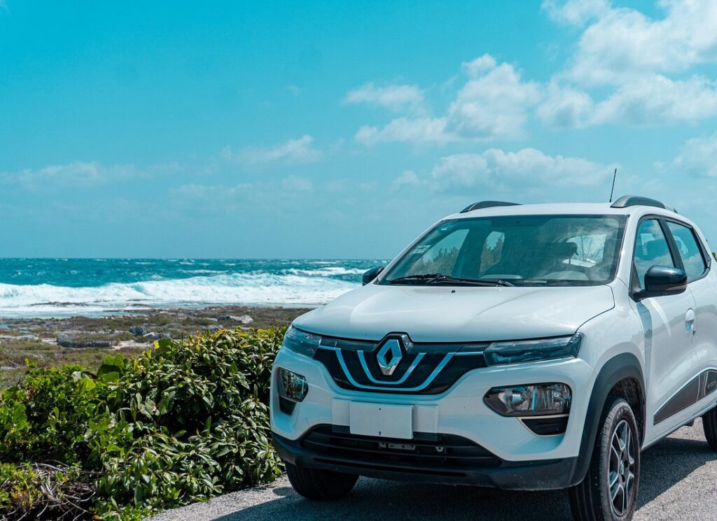 Electric Island Tour with Snorkel